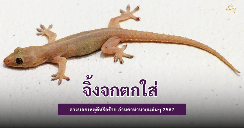 จิ้งจกตกใส่