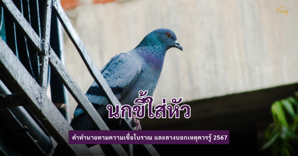 นกขี้ใส่หัว