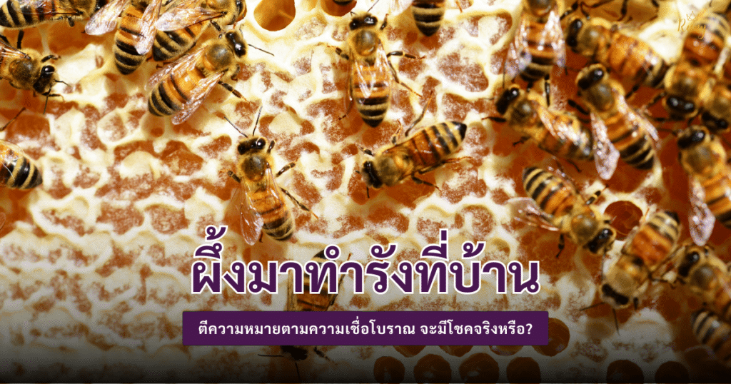 ผึ้งมาทำรังที่บ้าน