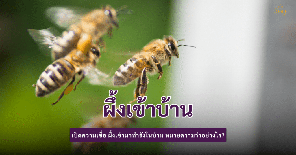 ผึ้งเข้าบ้าน