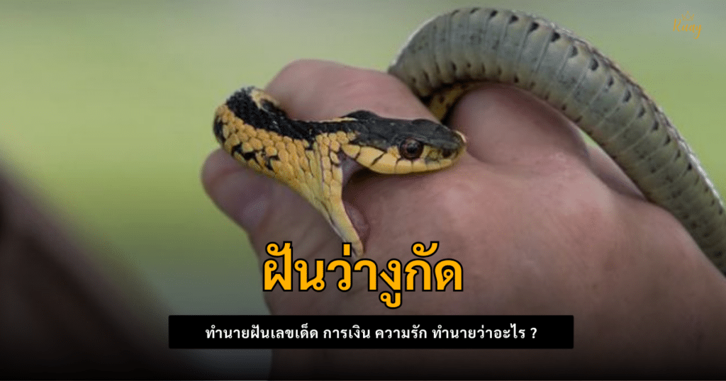 ฝันว่างูกัด