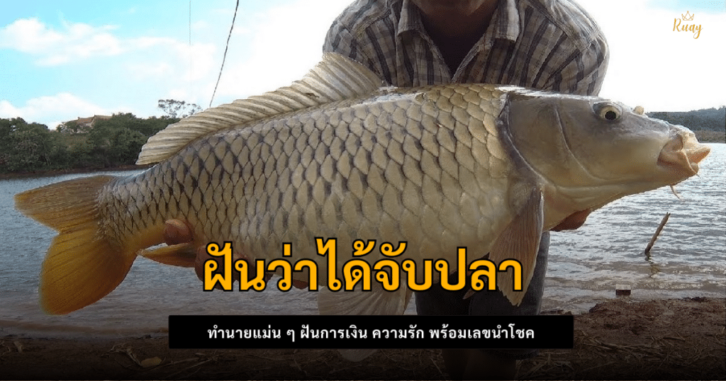 ฝันว่าได้จับปลา