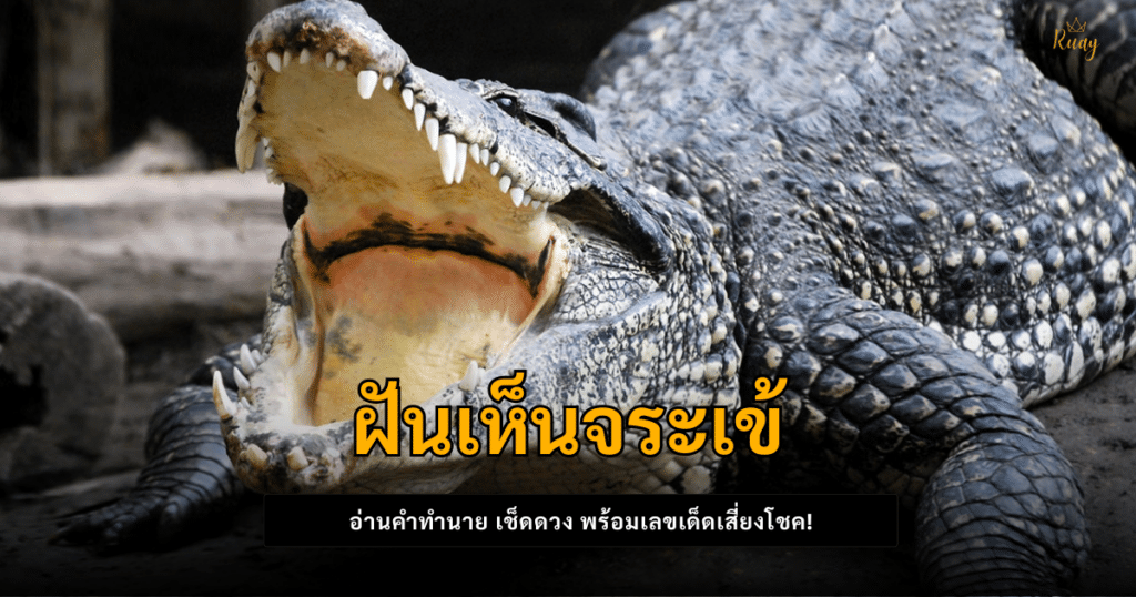 ฝันเห็นจระเข้