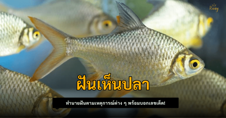 ฝันเห็นปลา