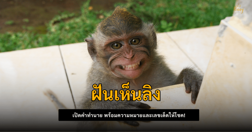 ฝันเห็นลิง