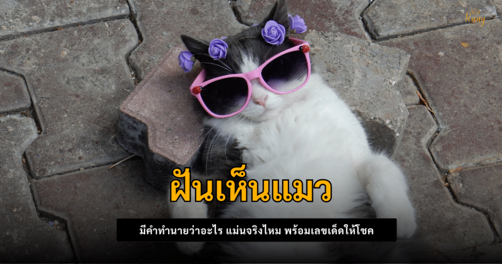 ฝันเห็นแมว