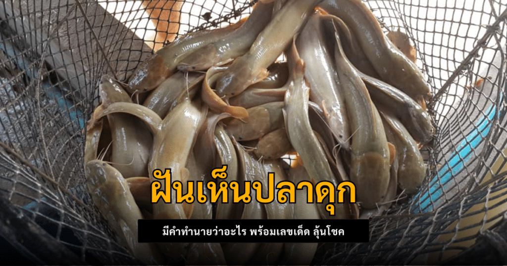 ฝันเห็นปลาดุก