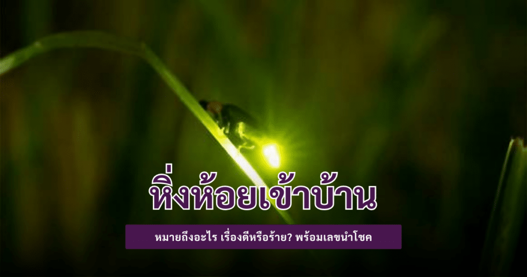 หิ่งห้อยเข้าบ้าน